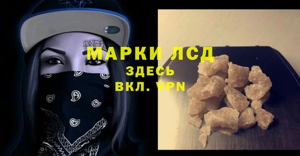ECSTASY Алзамай