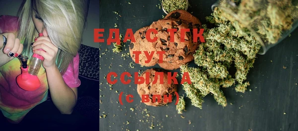 ECSTASY Алзамай