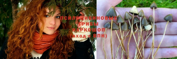 ECSTASY Алзамай
