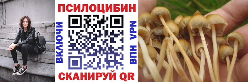 Псилоцибиновые грибы GOLDEN TEACHER Солигалич